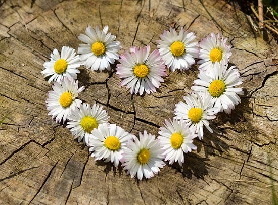 Asuntos del corazón Asuntos del corazón