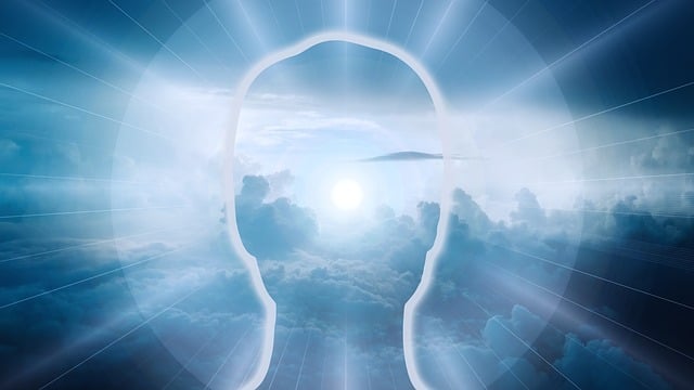 ¿Qué ocurre con la conciencia tras la muerte? ¿Qué ocurre con la conciencia tras la muerte?