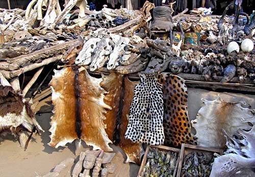 Mercado de vudú en Togo