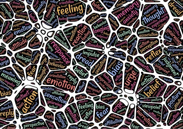 El tarot como herramienta de reprogramación neuronal El tarot como herramienta de reprogramación neuronal