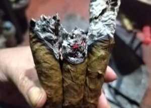 Abuela Vidente leo tabaco TAROT 57 3108776718 y 57