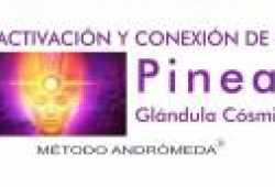 Activación - Conexión De La Glándula Pineal
