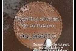 AMOR Y DESTINO 981 966 810