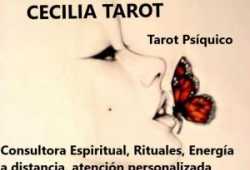 Cecilia Tarot Psiquico