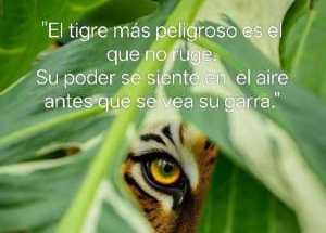 Cómo el amor a la vida