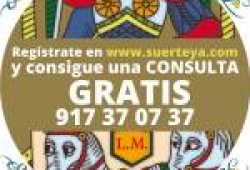 CONSULTA GRATIS