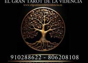 El gran tarot de la videncia 