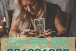 Lecturas de Tarot Excelente Altos Aciertos