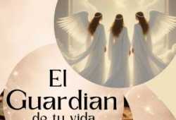 Medium el guardián de tu vida 