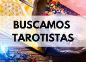 Se necesitan tarotistas y videntes
