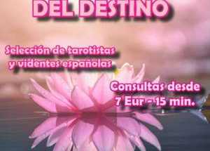 SOLO TAROT Y VIDENCIA