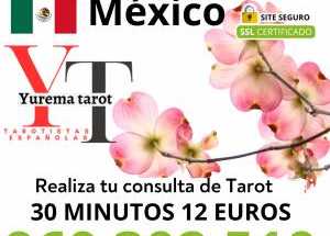 tarot Barato y  buenas Tarotistas
