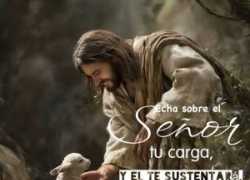 Tarot Cielo De Plata 