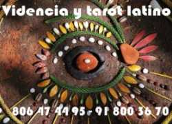 Tarot latino en España