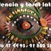 Tarot latino en España