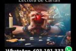 TAROT LECTURA CARTAS PRESENCIAL ONLINE