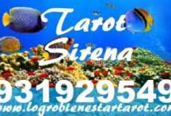 TAROT SIRENA VISA/PAYPAL 931929549 TAROT BUENO Y C