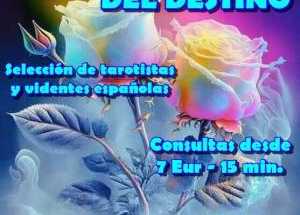 Tarotistas Videntes de alto nivel
