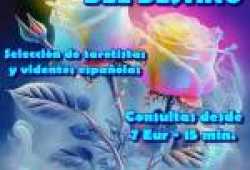 Tarotistas Videntes de primer nivel