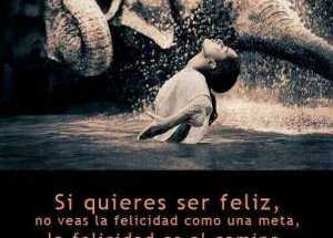Unidos cumpliendo sueños de vida