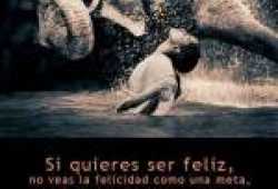 Unidos cumpliendo sueños de vida