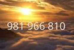 VIDENCIA NATURAL   981 966 810