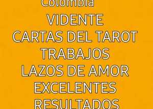 Vidente Maicol, Tarot