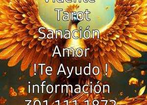 Vidente Maicol, Tarot