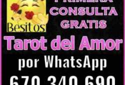 VIDENTE NATURAL TRABAJO DESDE CASA TAROT EFECTIVO