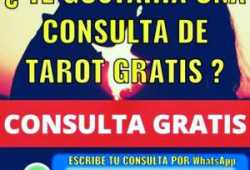 Vidente tarot consulta gratis precio gabinetes