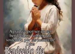 Vivir Con Intensidad