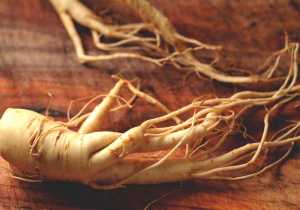 El ginseng: La planta más poderosa según la medicina china y el Feng Shui 