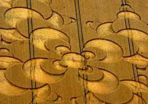 Círculos Crop: hermosos diseños llenos de misterio
