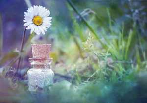 Magia verde: las plantas y su poder en el mundo esotérico 
