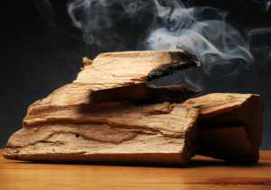 El Palo Santo, madera sagrada