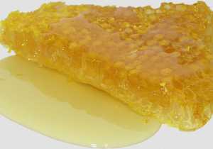 Miel de ulmo: el gran tesoro de Chile