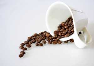 Descubre el poder de la cafetomancia