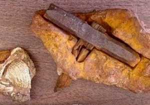 Ooparts: objetos misteriosos que podrían cambiar la historia