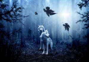 El Bestiario Oculto: Animales como guardianes y mensajeros espirituales
