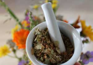 Crea tu botiquín casero con plantas medicinales