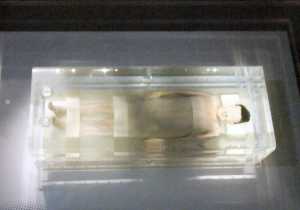 Descubre la momia mejor conservada del mundo