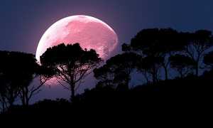 La luna rosada y sus poderes mágicos para cumplir tus deseos