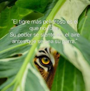 Cómo el amor a la vida