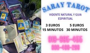 Experiencia y profesionalidad en un solo lugar
