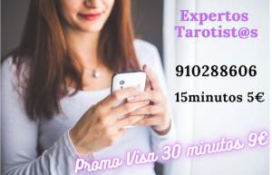 Expertos tarotistas