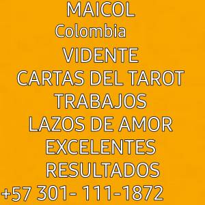Vidente Maicol, Tarot
