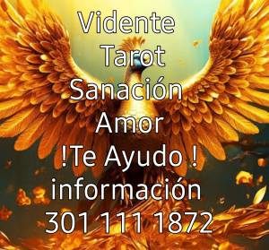 Vidente Maicol, Tarot