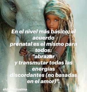 Vivir Con Intensidad